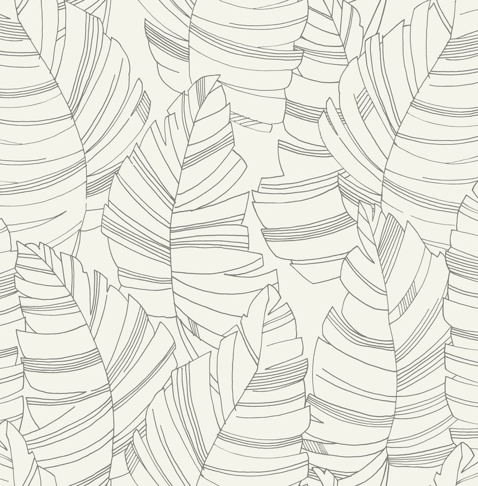 Jungle Leaves Charcoal DA61400 by Seabrook Designs Designer Wallpaper