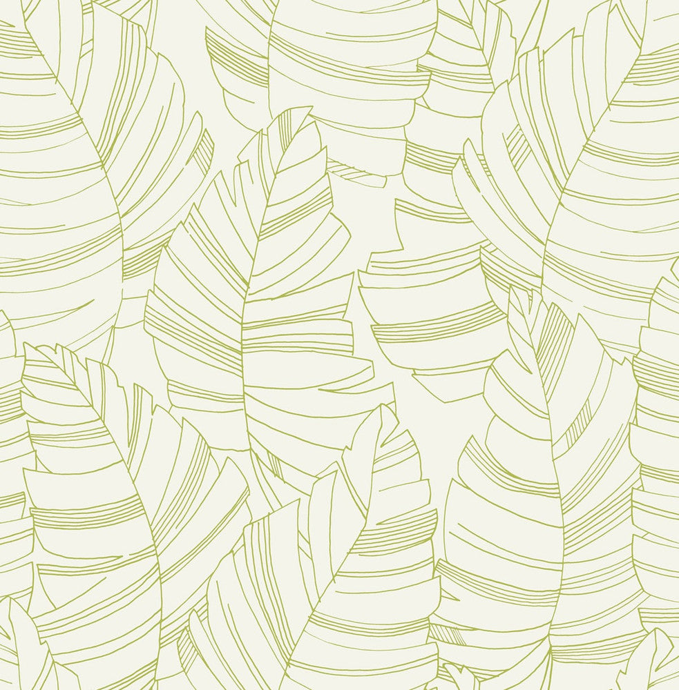 Jungle Leaves Green Apple DA61404 by Seabrook Designs Designer Wallpaper