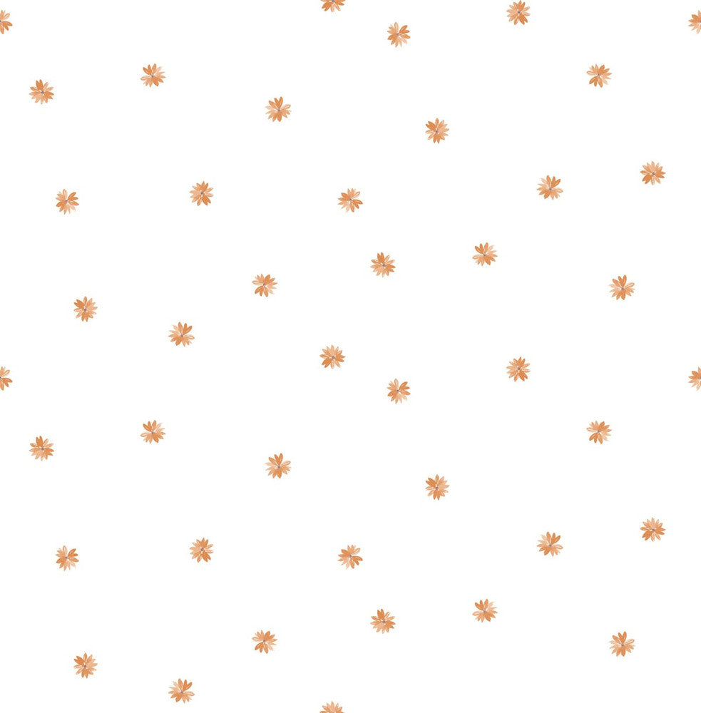 Little Daisy Orange DA62813 by Seabrook Designs Designer Wallpaper