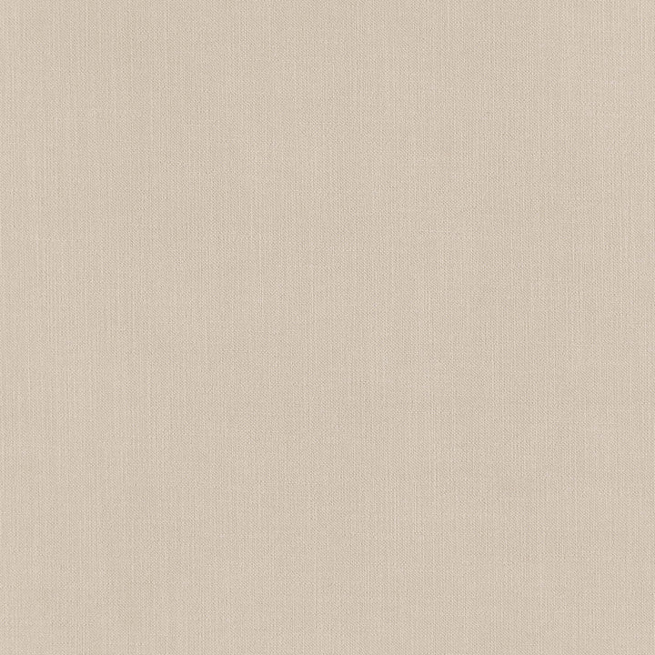 Daring 11J7391 by JF Designer Fabric Winning Weaves VII- Wovens - Faux Suede Book 100% Polyester China 200000 Horizontal: and Vertical: 56 - Swanky Fabrics -