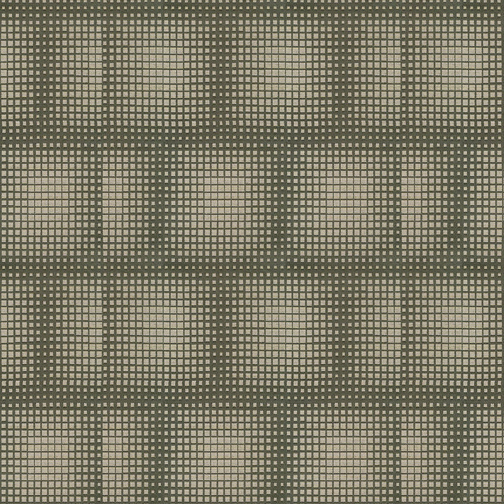Dazzle 6009 Chinchilla by Crypton Designer Fabric 76% Polyester, 17% Recycled Post Consumer Polyester, 7% Recycled Post Industrial Polyester US 75,000 Double Rubs (Wyzenbeek) </p><p>Repeat: Horizontal: 15.9" (40.4 cm) Up the Roll and Vertical: 14.9" (37.9 cm) Across the Roll 56" (142 cm) - Swanky Fabrics -