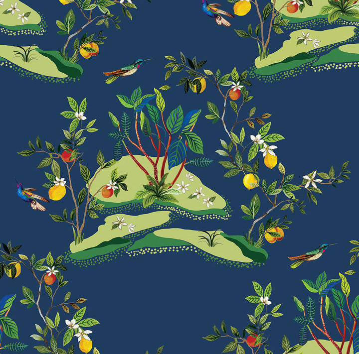 Citrus Hummingbird Navy Blue DBW9002 by Daisy Bennett Designs Designer Wallpaper