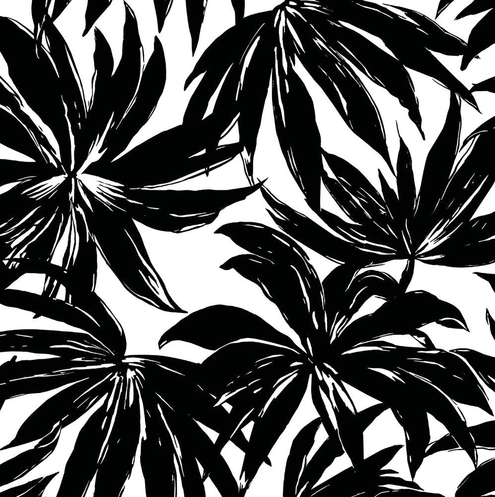Palma Black DBW9111 by Daisy Bennett Designs Designer Wallpaper