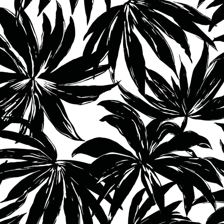 Palma Black DBW9111 by Daisy Bennett Designs Designer Wallpaper