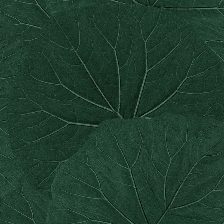 Xylem Evergreen Large Leaves Wallpaper by ESTA Home Designer Design Department Covers about 57.5 square feet 20.9-in by 33-ft long roll Unpasted 20.9 - Swanky Fabrics -