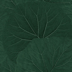 ESTA Home Wallpaper Xylem Evergreen Large Leaves