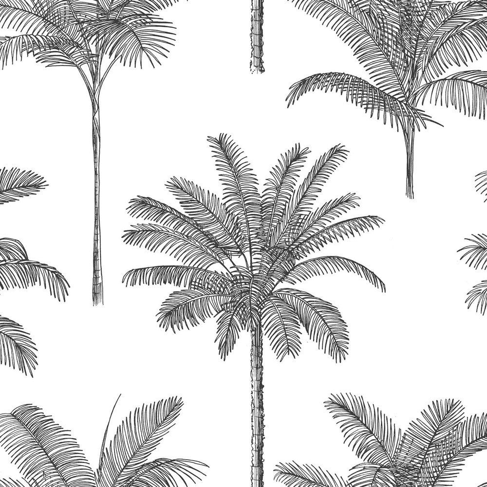 Taj Charcoal Palm Trees Wallpaper by ESTA Home Designer Design Department Covers about 57.5 square feet 20.9-in by 33-ft long roll Unpasted 20.9 - Swanky Fabrics -