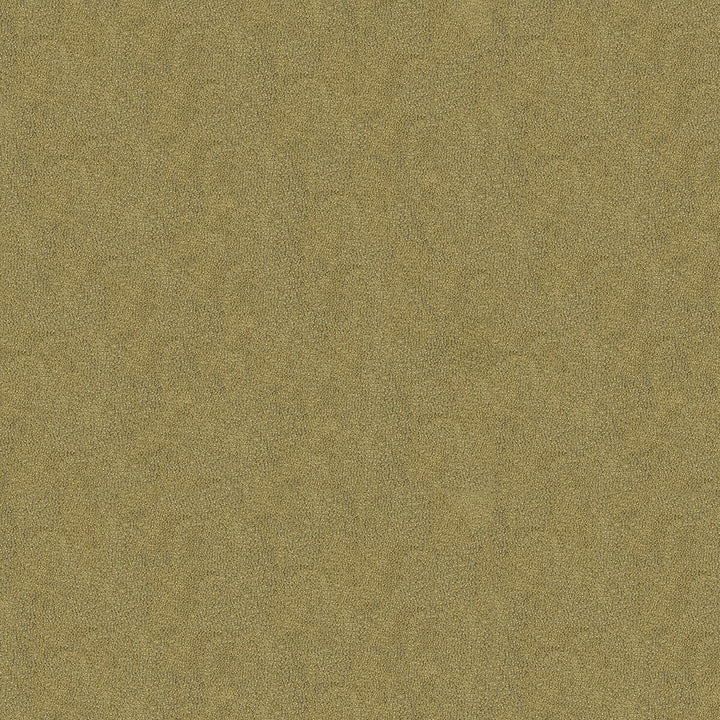 Debut Pumice by Kravet Couture Designer Fabric - NYLON - 100% United States HEAVY Horizontal: - and Vertical: - 54 - Swanky Fabrics -