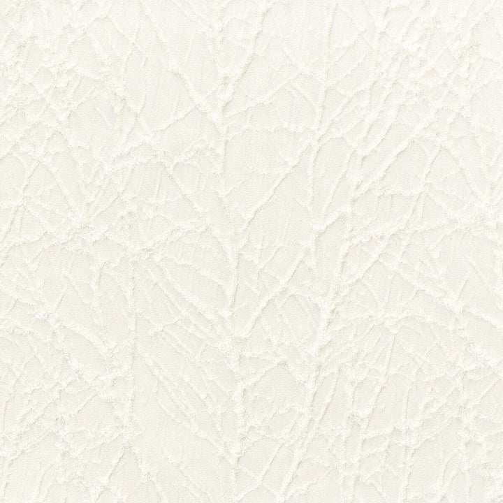 Decorum 2 Pearl by Stout Designer Fabric COLOR MY WINDOW ALABASTER/PARCHMENT 100%POL INDIA FLAME RETARDANT-CA BULLETIN 117-SECTION E FLAME RETARDANT-U.F.A.C. CLASS 1 WYZENBEEK 30 000 DOUBLE RUB WEAR TEST (HEAVY DUTY) Horizontal: 6 and Vertical: 7 54 in - Swanky Fabrics -