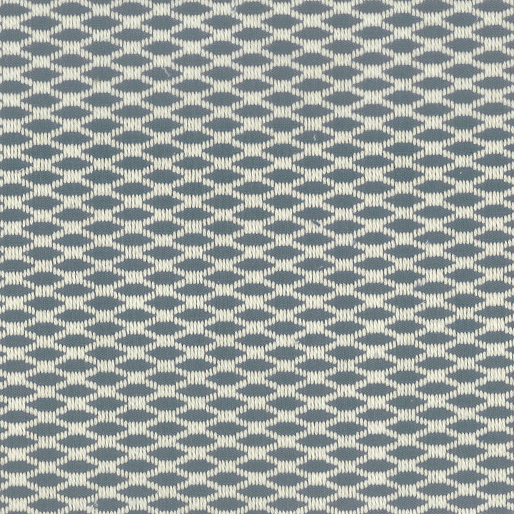 Dempsey 1 Navy by Stout Designer Fabric COMFORTABLE LIVING SPRAY/OCEAN 100%COT INDIA FLAME RETARDANT-U.F.A.C. CLASS 1 CATB 117-2013 WYZENBEEK 6 000 DOUBLE RUB WEAR TEST (LIGHT DUTY) Horizontal: 0.750 and Vertical: 0.750 54 in - Swanky Fabrics -