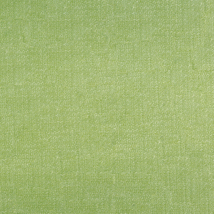 Denali 202 Pear by ABBEYSHEA Designer Fabric 94% Polyester
5% Linen
1% Nylon CN 60,000 Double Rubs (Wyzenbeek) </p><p>Repeat: Horizontal: and Vertical: 57 in. (142 cm) - Swanky Fabrics -