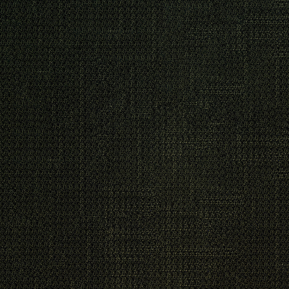 Denali 909 Noir by ABBEYSHEA Designer Fabric 94% Polyester
5% Linen
1% Nylon CN 60,000 Double Rubs (Wyzenbeek) </p><p>Repeat: Horizontal: and Vertical: 57 in. (142 cm) - Swanky Fabrics -