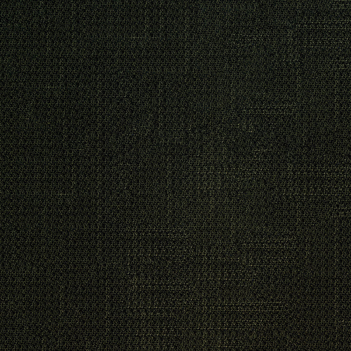 Denali 909 Noir by ABBEYSHEA Designer Fabric 94% Polyester
5% Linen
1% Nylon CN 60,000 Double Rubs (Wyzenbeek) </p><p>Repeat: Horizontal: and Vertical: 57 in. (142 cm) - Swanky Fabrics -
