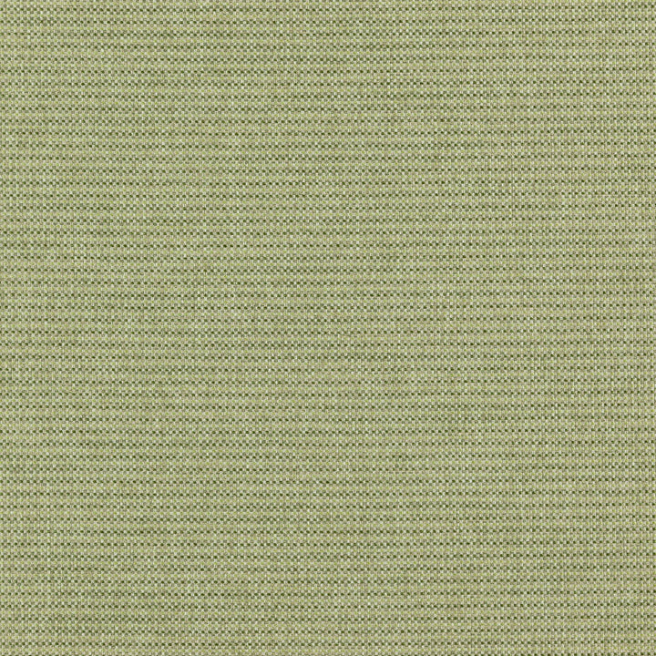 Deputy 76J7351 by JF Designer Fabric Winning Weaves VI - Woven Book 90% Polyester, 10% Viscose India 55000 Horizontal: and Vertical: 57 - Swanky Fabrics -