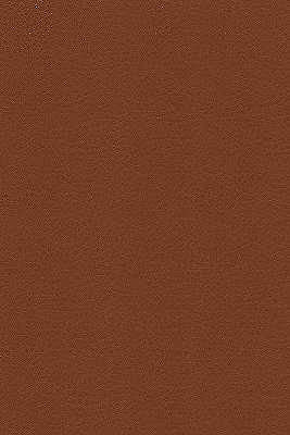 Desire-6 by Kravet Design Designer Fabric - NYTEK - 100% Japan HEAVY Horizontal: 0 and Vertical: 0 54 - Swanky Fabrics -