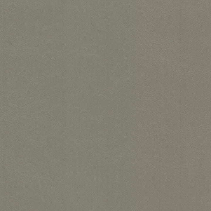 Dewdrop 1 Cement by Stout Designer Fabric LEATHER LOOKS V 100%PVC 2%OTH TAIWAN Horizontal: 0.000 and Vertical: 0.000 54 in - Swanky Fabrics -