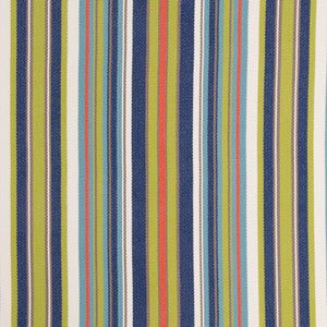 Bella-Dura Fabric Dexter Multi