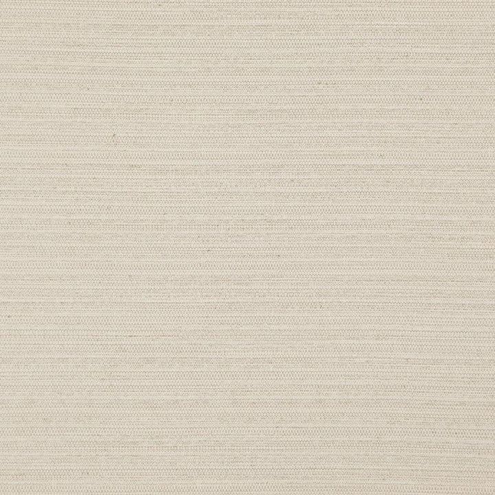 Darwin # 701 Sand by Maxwell Designer Fabric Pure & Simple Vii 100% POLYESTER INDIA 55" - Swanky Fabrics -