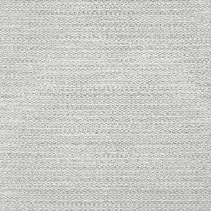 Darwin # 703 Silver by Maxwell Designer Fabric Pure & Simple Vii 100% POLYESTER INDIA 55" - Swanky Fabrics -