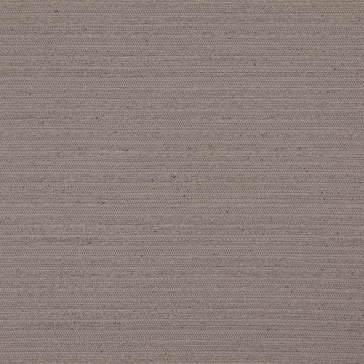 Darwin # 708 Chinchilla by Maxwell Designer Fabric Pure & Simple Vii 100% POLYESTER INDIA 55" - Swanky Fabrics -