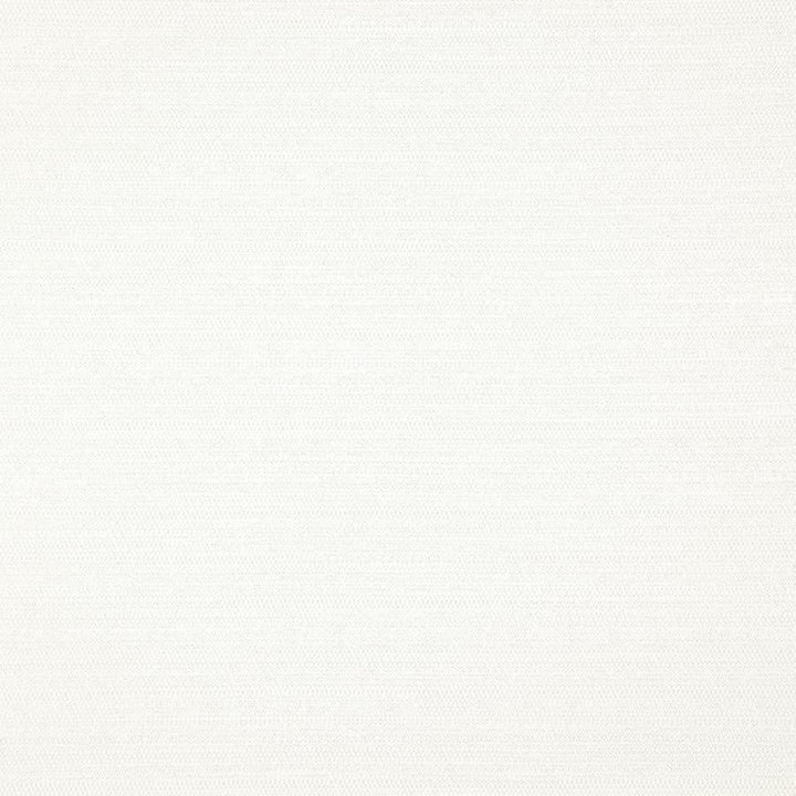 Darwin # 711 Pearl by Maxwell Designer Fabric Pure & Simple Vii 100% POLYESTER INDIA 55" - Swanky Fabrics -