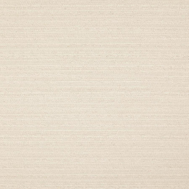 Darwin # 712 Natural by Maxwell Designer Fabric Pure & Simple Vii 100% POLYESTER INDIA 55" - Swanky Fabrics -