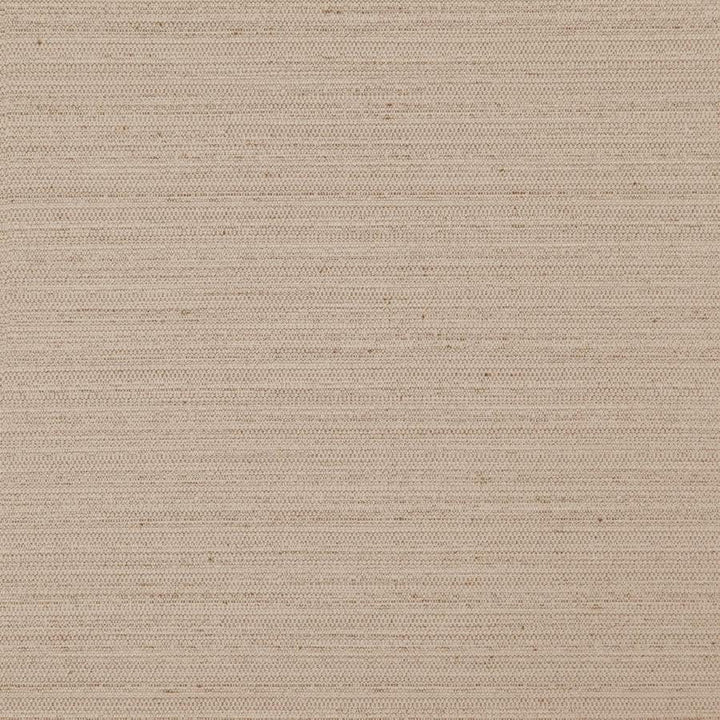 Darwin # 715 Earth by Maxwell Designer Fabric Pure & Simple Vii 100% POLYESTER INDIA 55" - Swanky Fabrics -