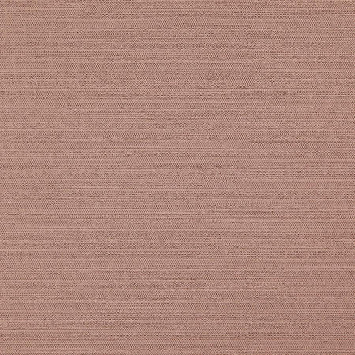 Darwin # 716 Cameo by Maxwell Designer Fabric Pure & Simple Vii 100% POLYESTER INDIA 55" - Swanky Fabrics -