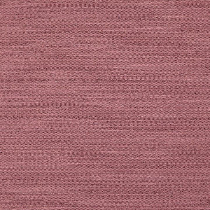 Darwin # 719 Lotus by Maxwell Designer Fabric Pure & Simple Vii 100% POLYESTER INDIA 55" - Swanky Fabrics -