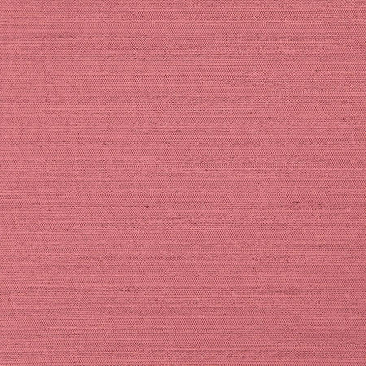 Darwin # 720 Sorbet by Maxwell Designer Fabric Pure & Simple Vii 100% POLYESTER INDIA 55" - Swanky Fabrics -
