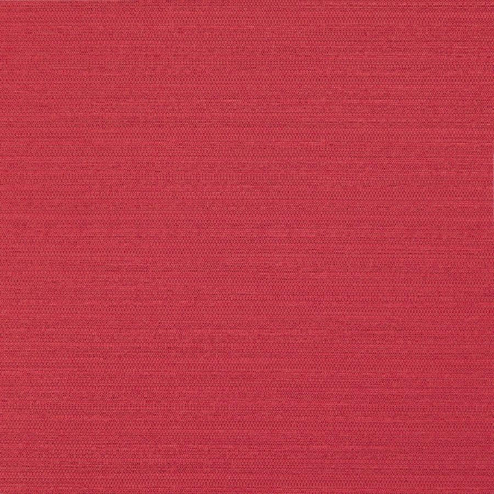 Darwin # 722 Lollipop by Maxwell Designer Fabric Pure & Simple Vii 100% POLYESTER INDIA 55" - Swanky Fabrics -