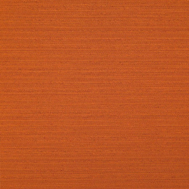 Darwin # 724 Paprika by Maxwell Designer Fabric Pure & Simple Vii 100% POLYESTER INDIA 55" - Swanky Fabrics -