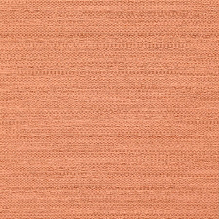 Darwin # 725 Amber by Maxwell Designer Fabric Pure & Simple Vii 100% POLYESTER INDIA 55" - Swanky Fabrics -