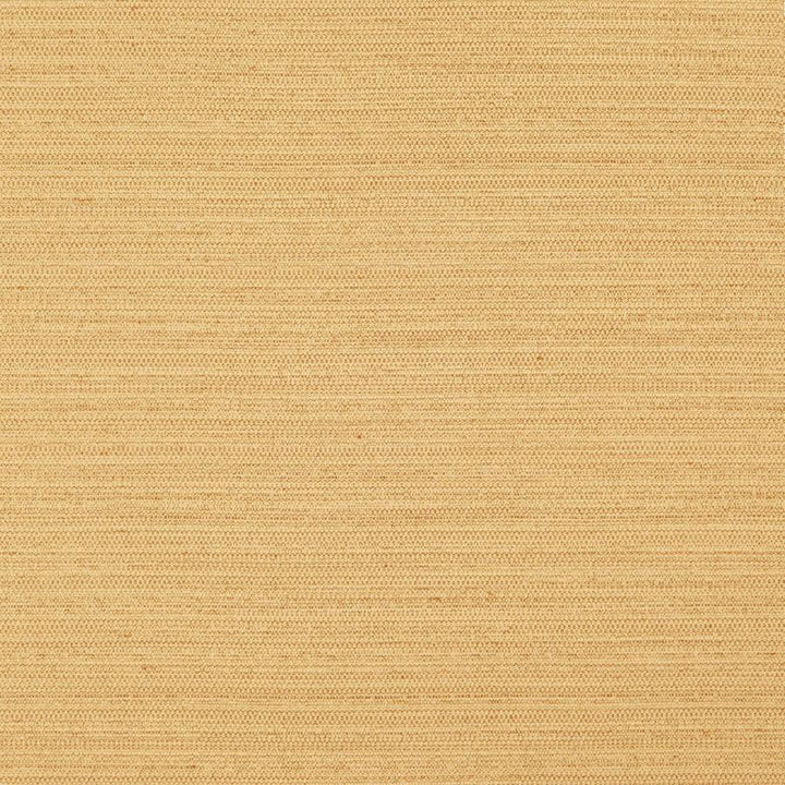 Darwin # 728 Gold by Maxwell Designer Fabric Pure & Simple Vii 100% POLYESTER INDIA 55" - Swanky Fabrics -