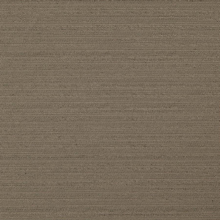 Darwin # 738 Cocoa by Maxwell Designer Fabric Pure & Simple Vii 100% POLYESTER INDIA 55" - Swanky Fabrics -