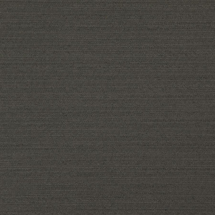 Darwin # 739 Coal by Maxwell Designer Fabric Pure & Simple Vii 100% POLYESTER INDIA 55" - Swanky Fabrics -