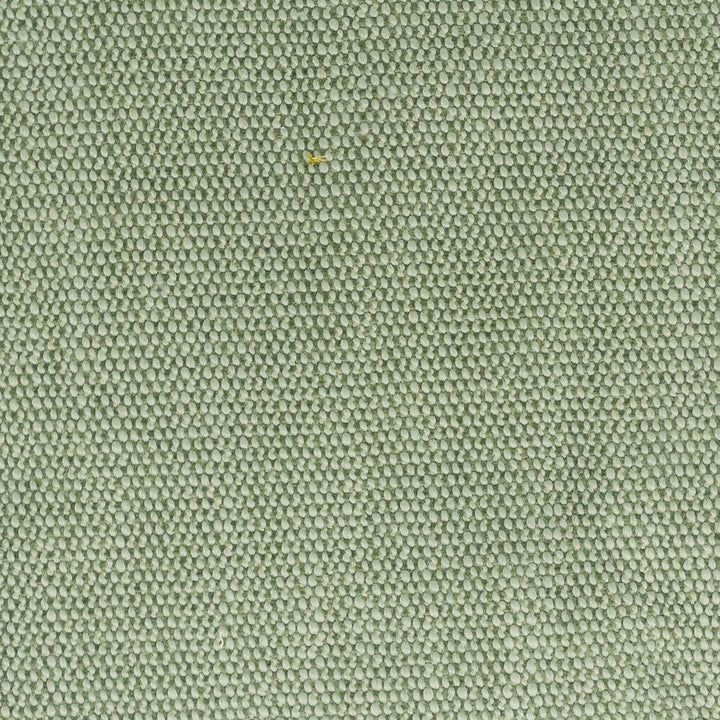 Dimitri 1 Seedling by Stout Designer Fabric LIVING IS EASY SPRING/SPA 80%POL 20%SVI CHINA FLAME RETARDANT-U.F.A.C. CLASS 1 FLAME RETARDANT-N.F.P.A. 260A CLASS 1 CATB 117-2013 WYZENBEEK 15 000 DOUBLE RUB WEAR TEST (HEAVY DUTY) Horizontal: 0.000 and Vertical: 0.000 56 in - Swanky Fabrics -
