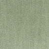 Stout Fabric Dimitri 1 Seedling