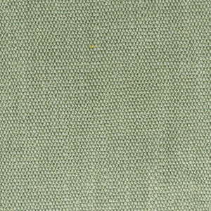 Stout Fabric Dimitri 1 Seedling