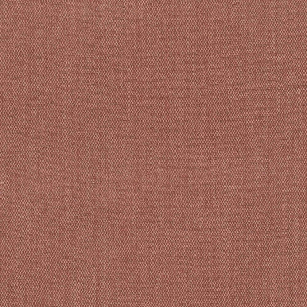 Dimitri 5 Spice by Stout Fabric Stout Fabric Dimitri 5 SpiceFabric RAINBOW LIBRARY GINGER/POPPY 80%POL 20%SVI CHINA </p><p>Repeat: H: 0.000, V: 0.000 56 in - Fabric Carolina -