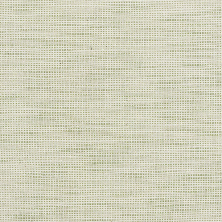 Disbelieve 3 Pear by Stout Designer Fabric TEXTURE APPEAL 52%COT 48%POL USA PERFORMANCE RATED FABRIC FLAME RETARDANT-U.F.A.C. CLASS 1 CATB 117-2013 WYZENBEEK 30 000 DOUBLE RUB WEAR TEST (HEAVY DUTY) Horizontal: 0.500 and Vertical: 0.500 54 in - Swanky Fabrics -