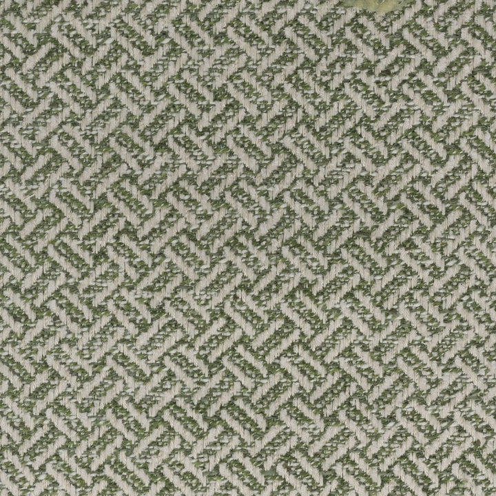 Diversion 1 Clover by Stout Designer Fabric LIVING IS EASY SPRING/SPA 65%POL 17%SVI 15%COT 3%LIN INDIA WYZENBEEK 50 000 DOUBLE RUB WEAR TEST (HEAVY DUTY) Horizontal: 0.750 and Vertical: 0.750 54 in - Swanky Fabrics -