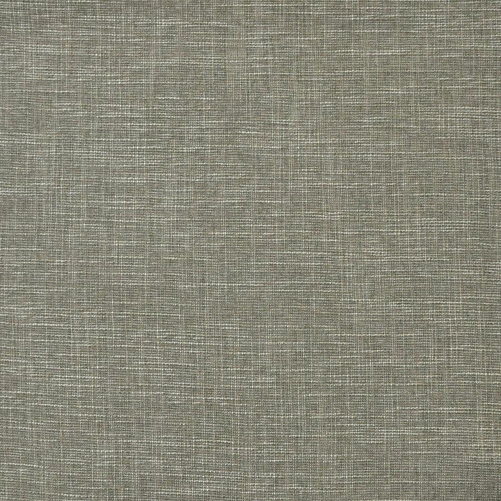 Daintree # 509 Rockwall by Maxwell Designer Fabric Pure & Simple Xv 65% POLYESTER/35%VISCOSE CHINA 55" - Swanky Fabrics -