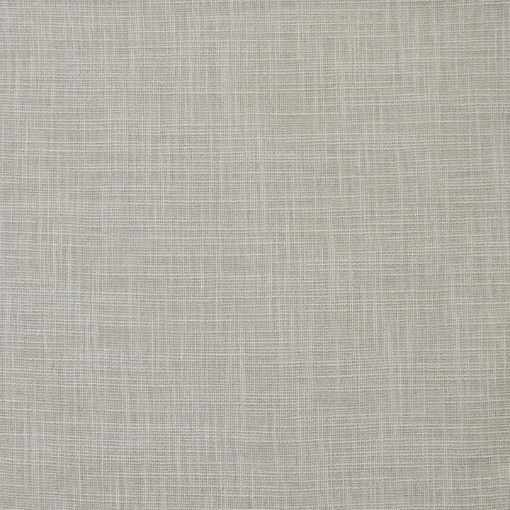 Daintree # 517 Stone by Maxwell Designer Fabric Pure & Simple Xv 65% POLYESTER/35%VISCOSE CHINA 55" - Swanky Fabrics -