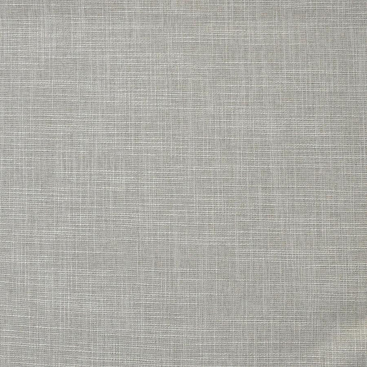 Daintree # 526 Woodsmoke by Maxwell Designer Fabric Pure & Simple Xv 65% POLYESTER/35%VISCOSE CHINA 55" - Swanky Fabrics -