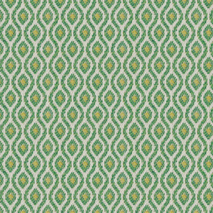 Downdrift # 645 Turtle by Maxwell Designer Fabric Home & Garden-Act Viii 100% SOLUTION DYED POLYOLEFIN INDIA V-1.18" H-0.91" 56.3" - Swanky Fabrics -