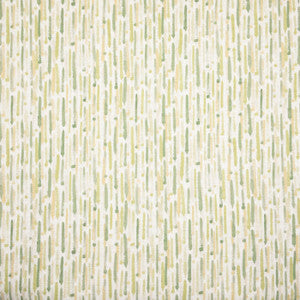 Stout Fabric Dodds 1 Spring