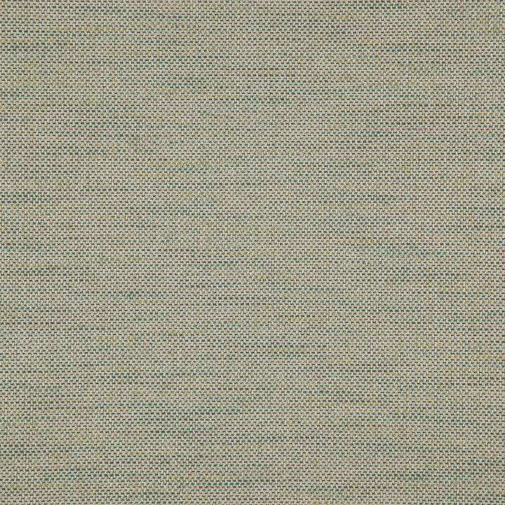 DONATO 74J8301 by JF Designer Fabric Everyday Crusader Fibreguard 79% Polyester, 21% Viscose India  Horizontal:  and Vertical:  55  - Swanky Fabrics -