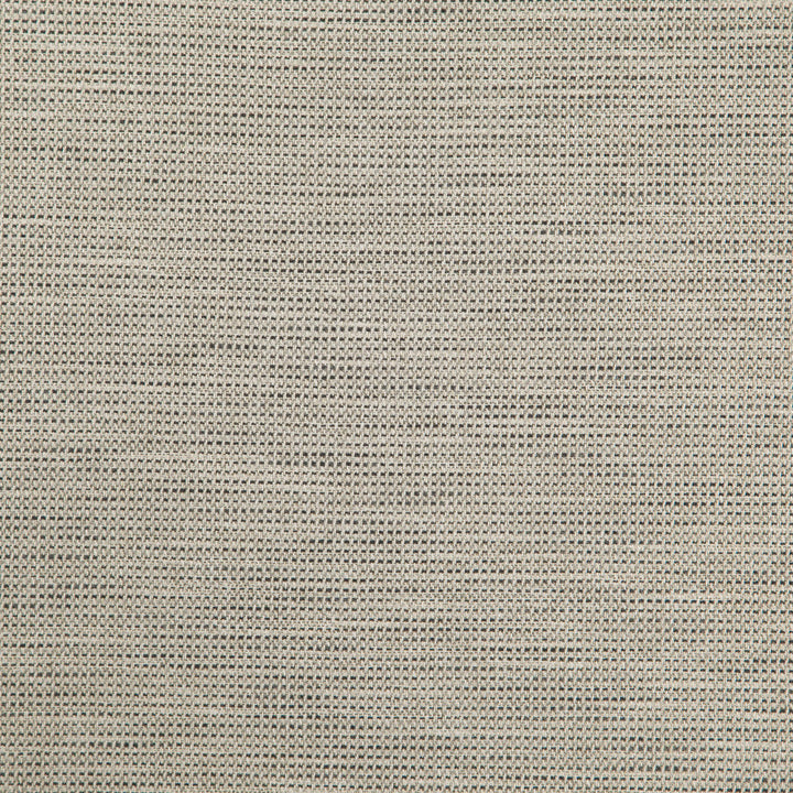 DONATO 96J8301 by JF Designer Fabric Everyday Crusader Fibreguard 79% Polyester, 21% Viscose India  Horizontal:  and Vertical:  55  - Swanky Fabrics -