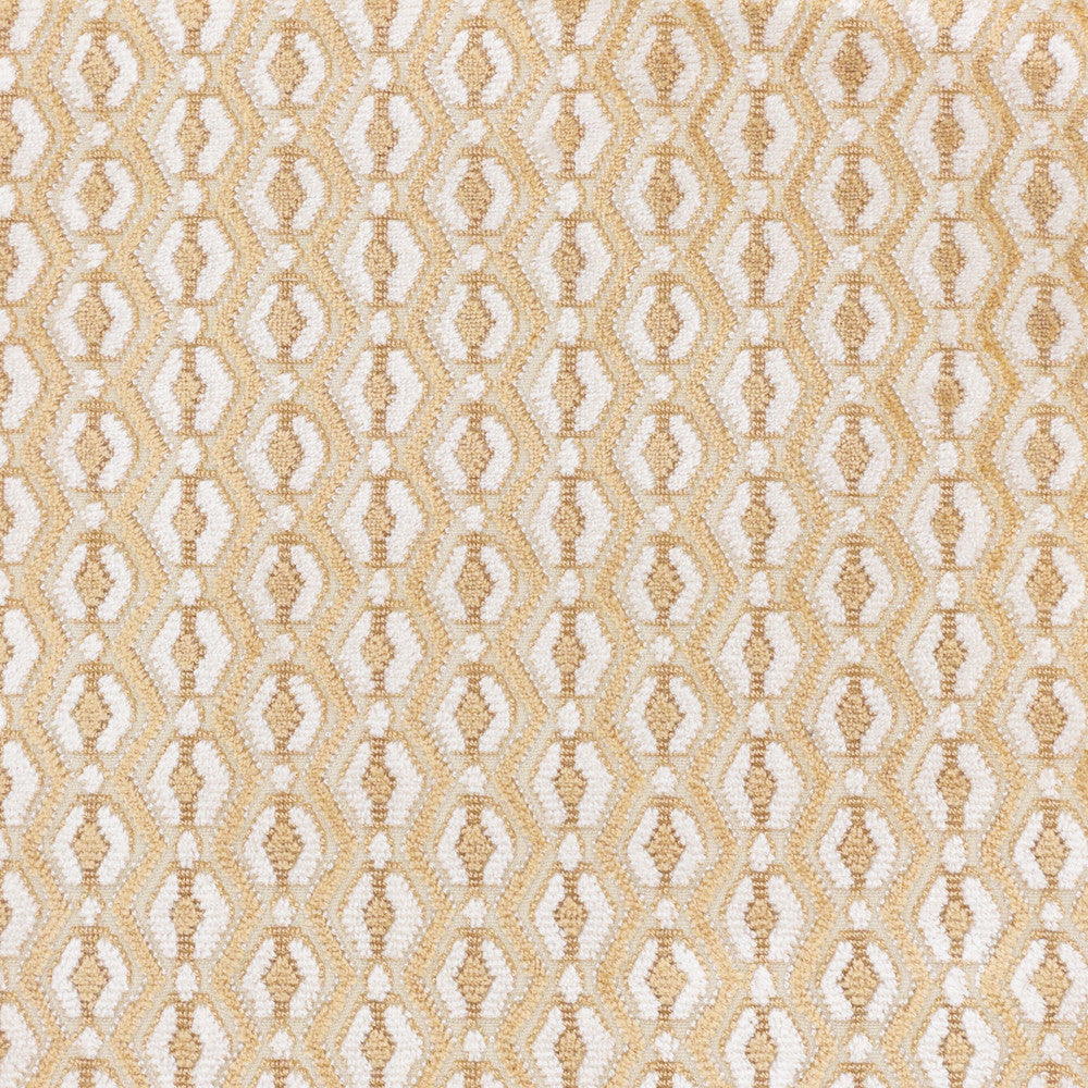 Dorian 4 Honey by Stout Designer Fabric PILED HIGH VELVETS 58%SVI 42%COT INDIA Horizontal: 1.375 and Vertical: 0.875 55 in - Swanky Fabrics -